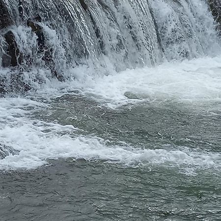 Domki Nad Stebnikiem Ustrzyki Dolne Exteriér fotografie
